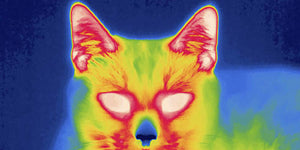 THERMAL IMAGING OPTICS